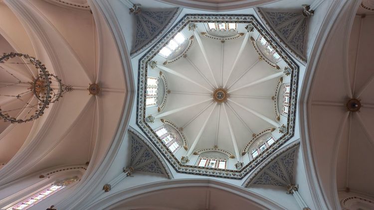 Basilica of the Immaculate Conception and St. Peter the Apostle image